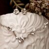 Conjunto de libelula